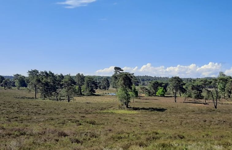 Natuurhuisje in Emst