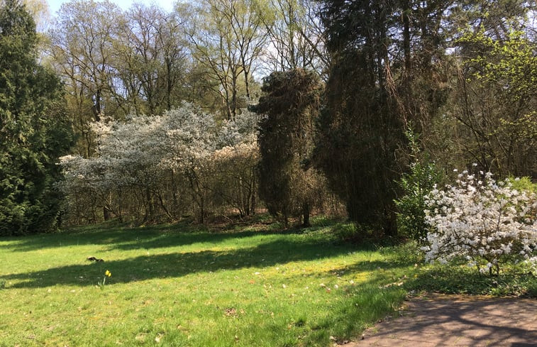 Natuurhuisje in Klarenbeek