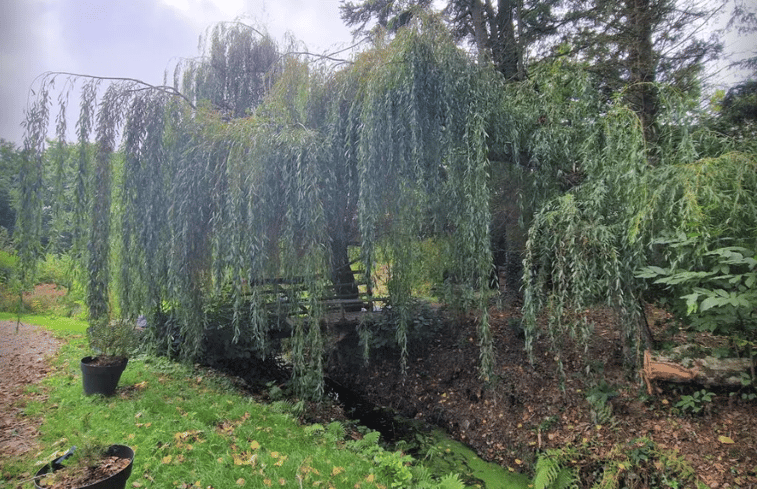 Natuurhuisje in Plouegat guerand