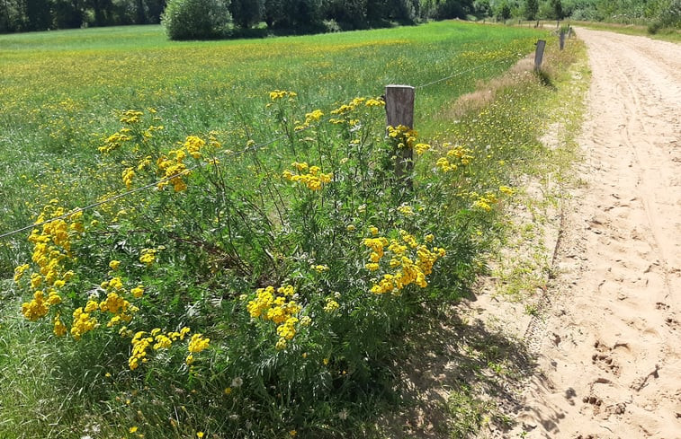 Natuurhuisje in Dalfsen