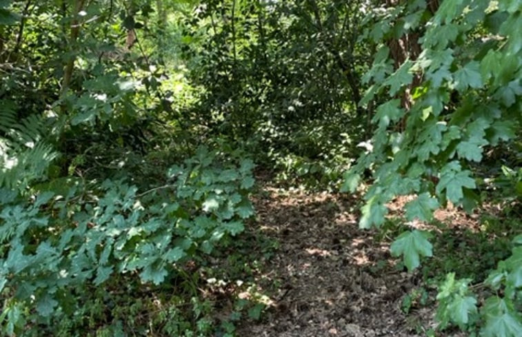 Natuurhuisje in IJhorst