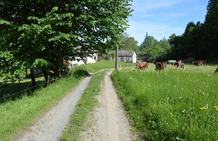 Natuurhuisje in VICO CANAVESE