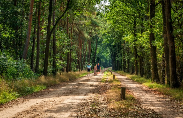 Natuurhuisje in Den Ham (Twente)