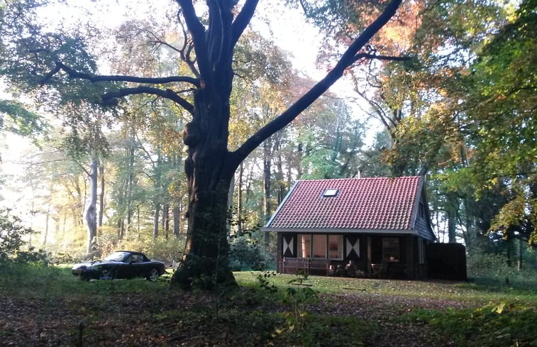 Natuurhuisje in Midlaren