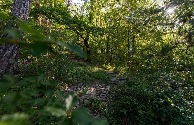 Natuurhuisje in Lauda Königshofen