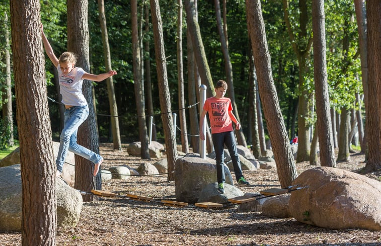 Natuurhuisje in Losser