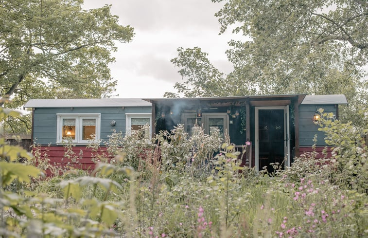 Natuurhuisje in Oostkapelle