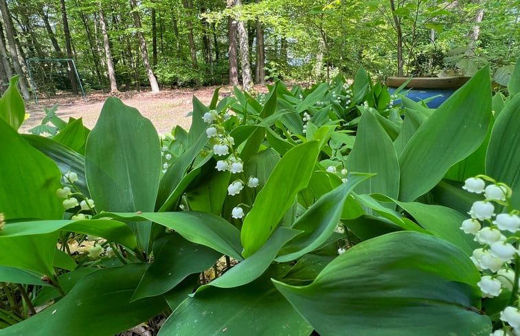 Natuurhuisje in Emst