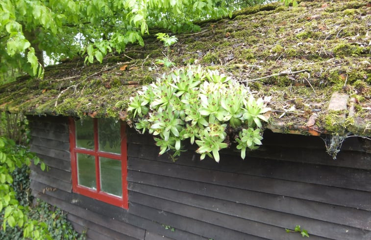 Natuurhuisje in Sint-Oedenrode