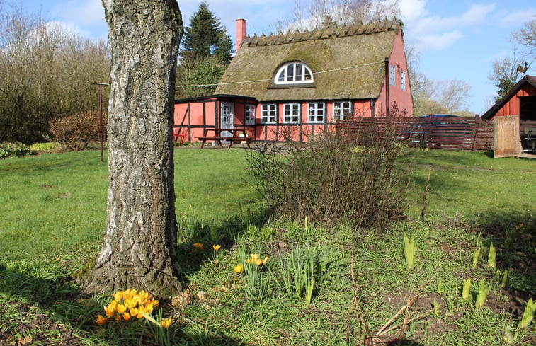 Natuurhuisje in Bogense