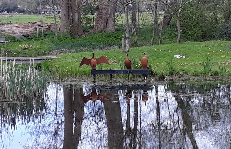 Natuurhuisje in Schoorl