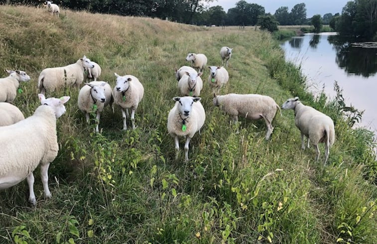 Natuurhuisje in Lattrop