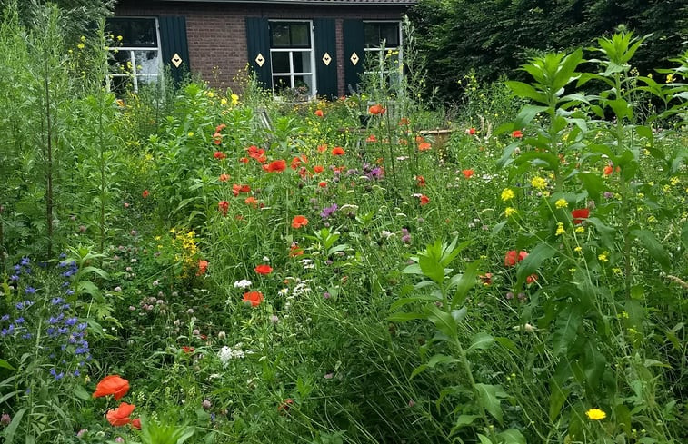 Natuurhuisje in Breedenbroek Achterhoek