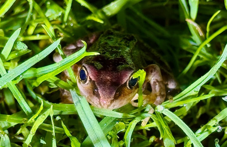 Natuurhuisje in Tilburg