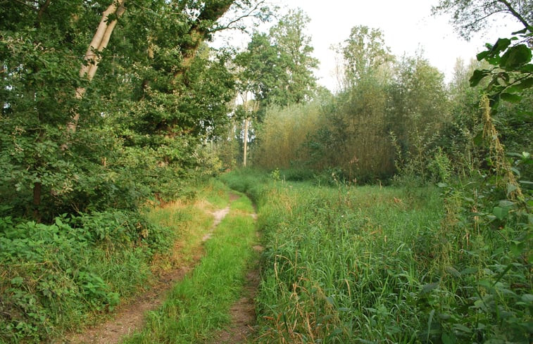 Natuurhuisje in Langbroek