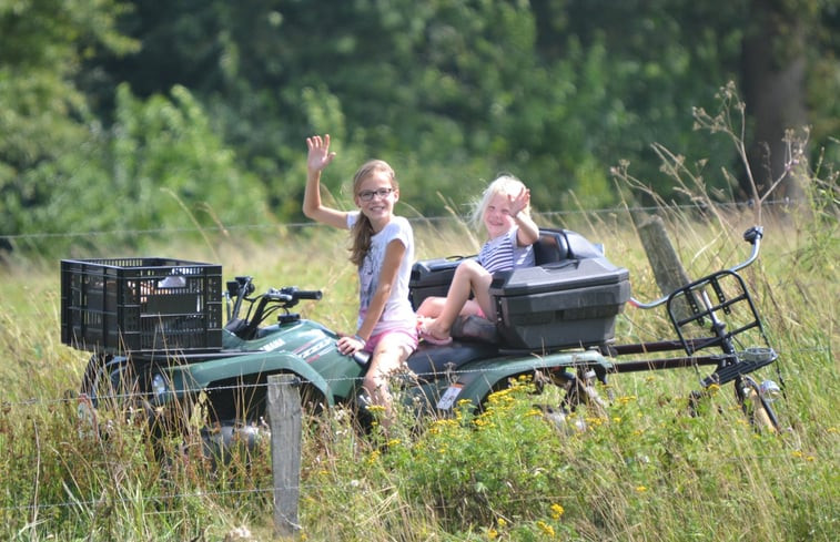 Natuurhuisje in Wierden