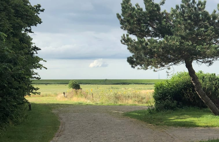 Natuurhuisje in Buren Ameland