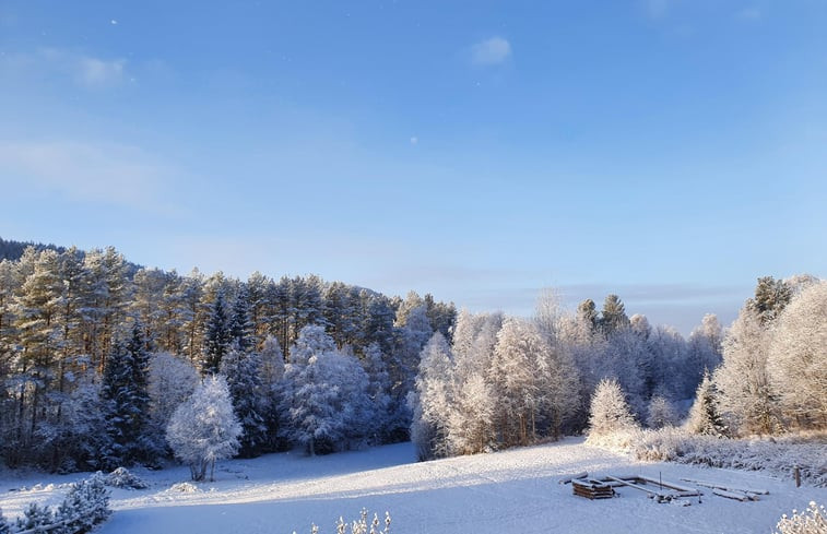 Natuurhuisje in Höljes