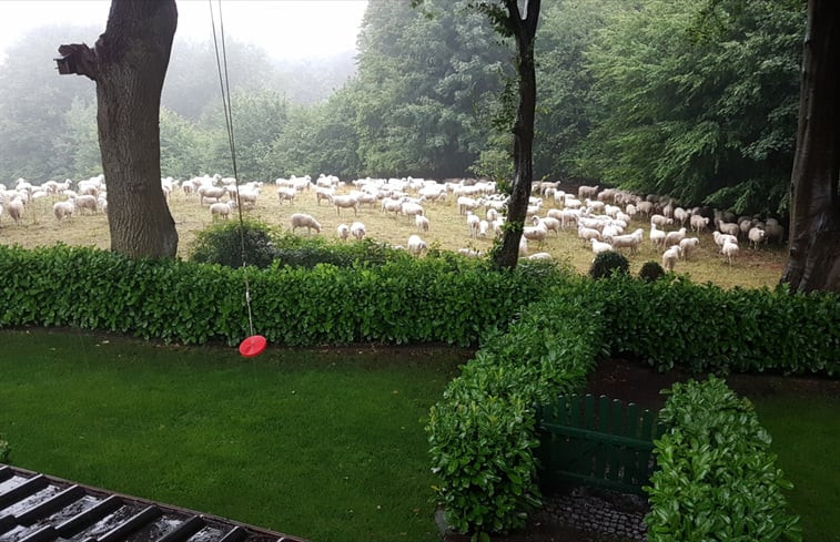 Natuurhuisje in Tecklenburg