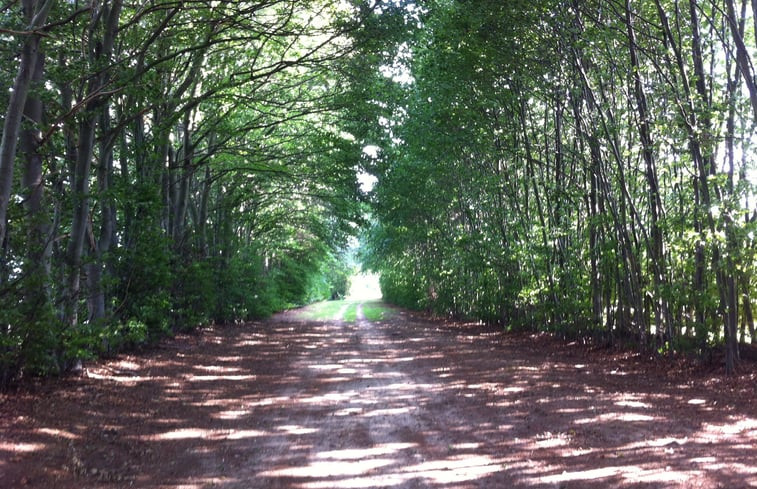 Natuurhuisje in Grubbenvorst