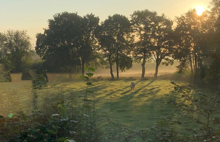 Natuurhuisje in Schipborg