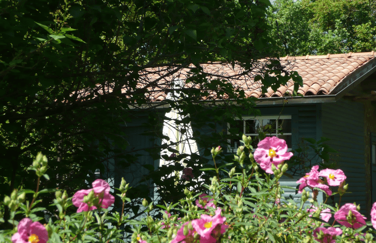 Natuurhuisje in Ficulle(TR)