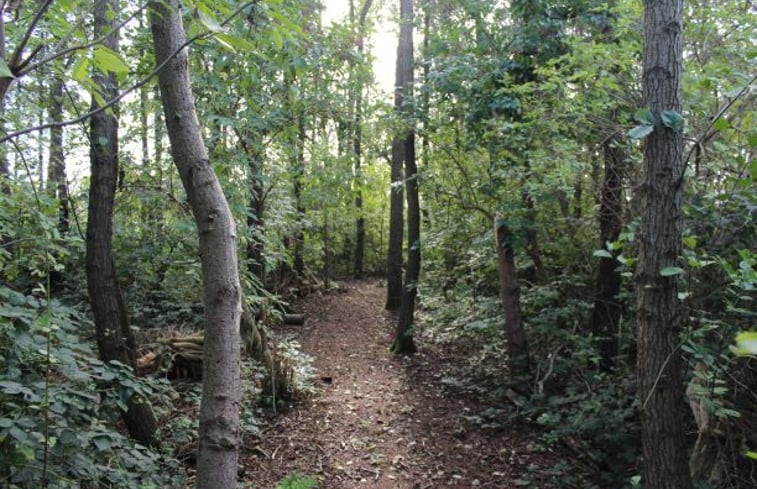 Natuurhuisje in Nietap