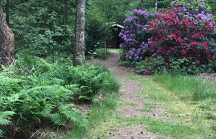 Natuurhuisje in Vilsteren