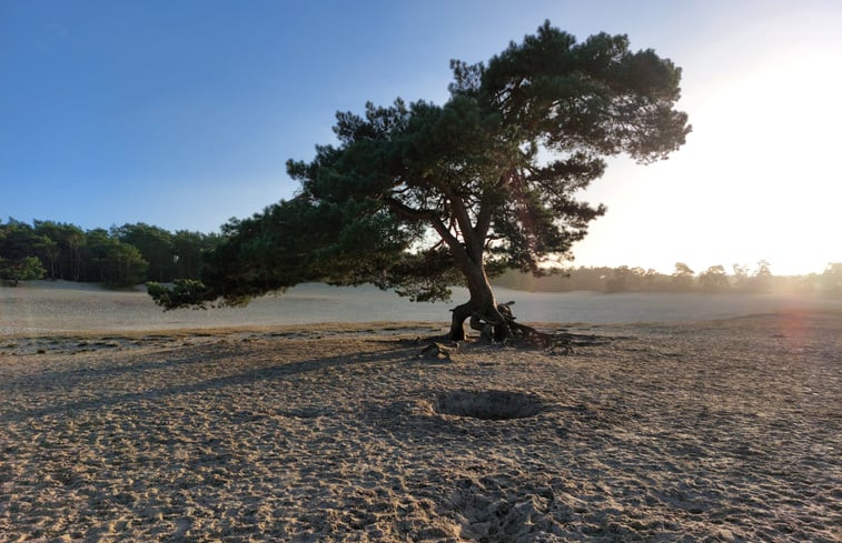 Natuurhuisje in Soest