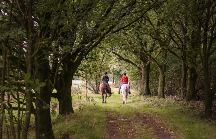 Natuurhuisje in Langedijke