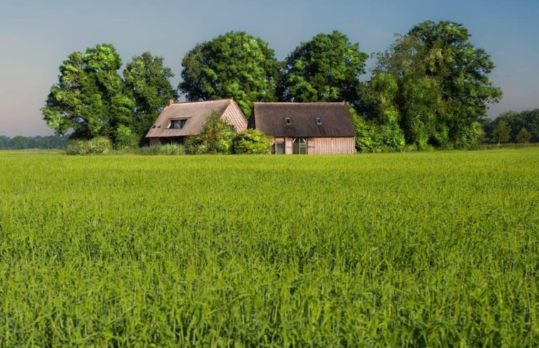 Natuurhuisje in Nieuw-Schoonebeek