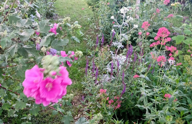 Natuurhuisje in Rotterdam