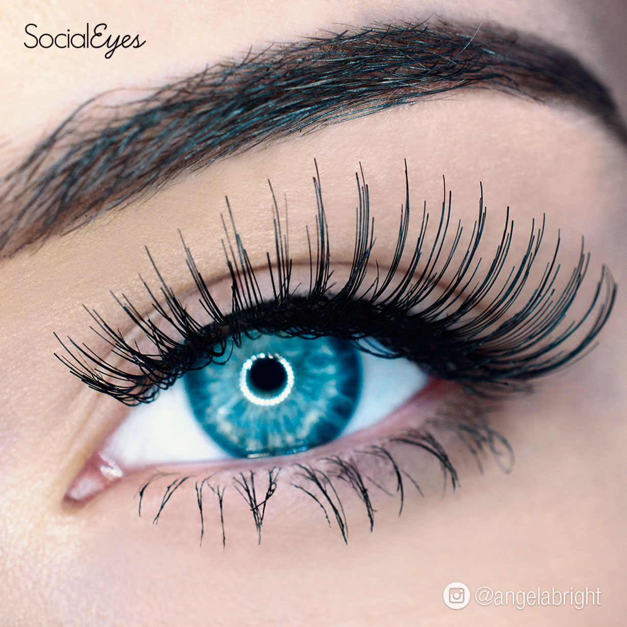 SocialEyes False Lashes Dazzle