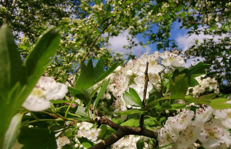 Natuurhuisje in PENSOL