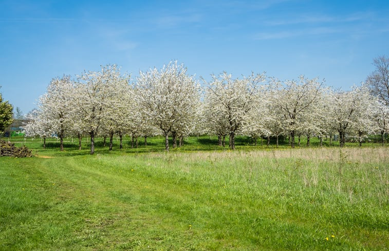 Natuurhuisje in Deil