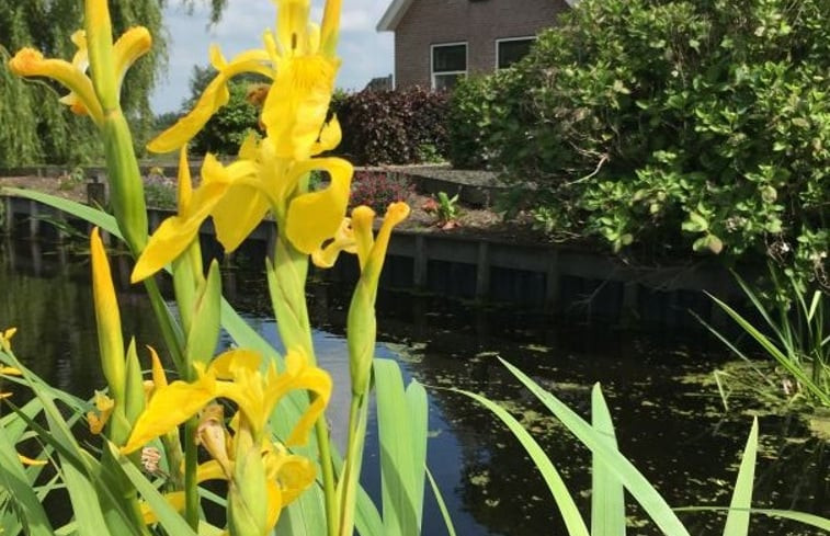 Natuurhuisje in Alphen aan den Rijn