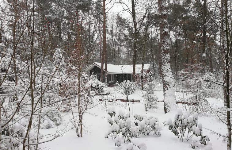 Natuurhuisje in Lochem