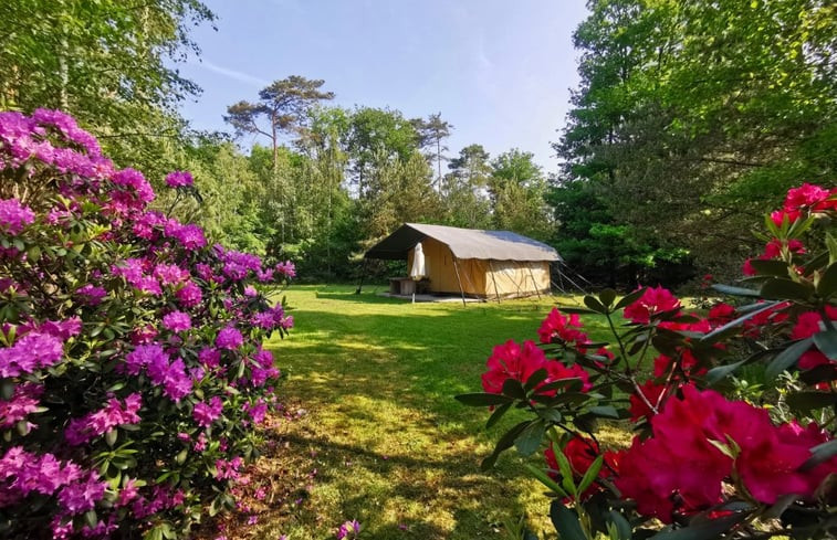 Natuurhuisje in Holten