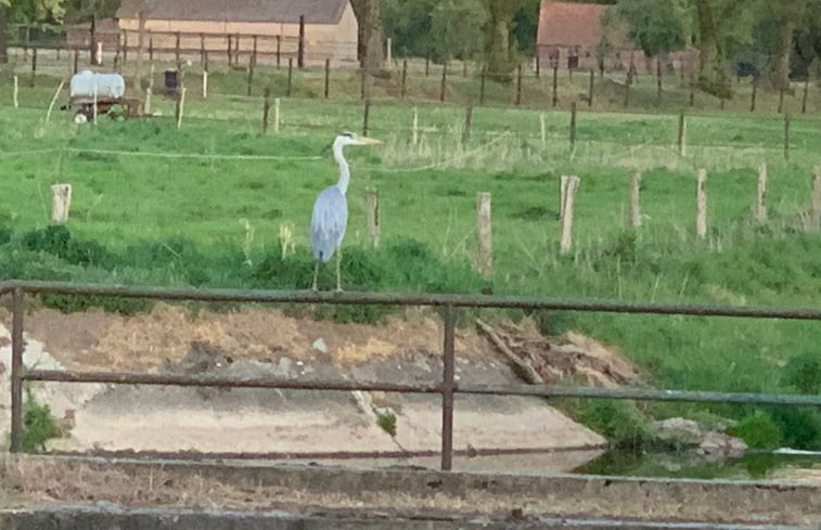 Natuurhuisje in Grathem