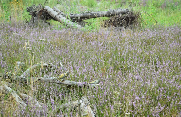 Natuurhuisje in Odiliapeel