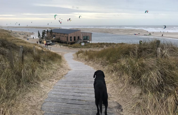 Natuurhuisje in Schoorl