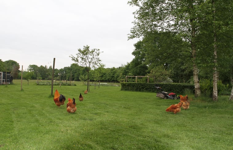 Natuurhuisje in Uffelte