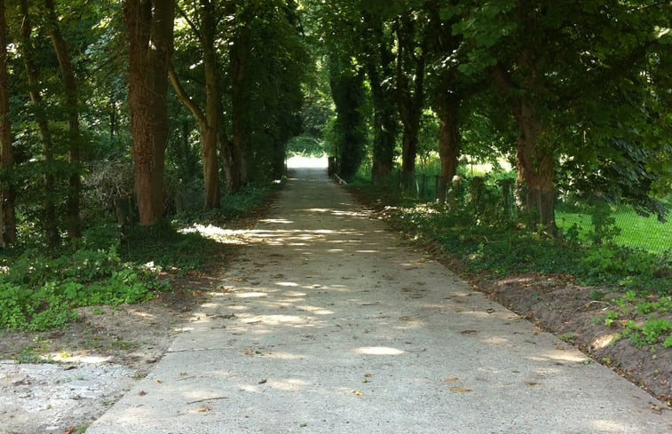 Natuurhuisje in Grubbenvorst