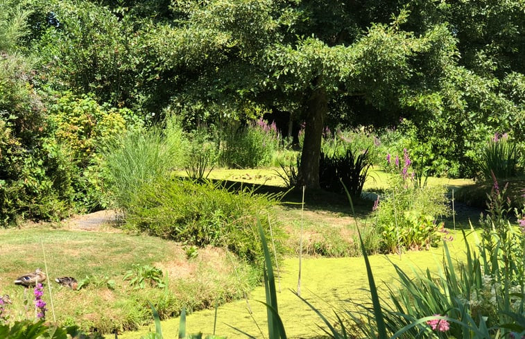 Natuurhuisje in Schoorl