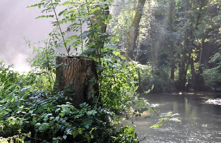 Natuurhuisje in Kollig