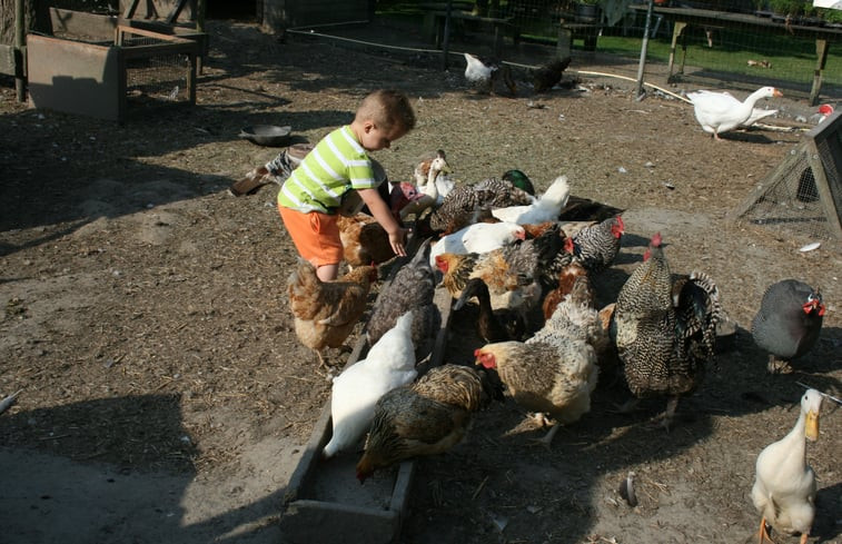 Natuurhuisje in Lewedorp