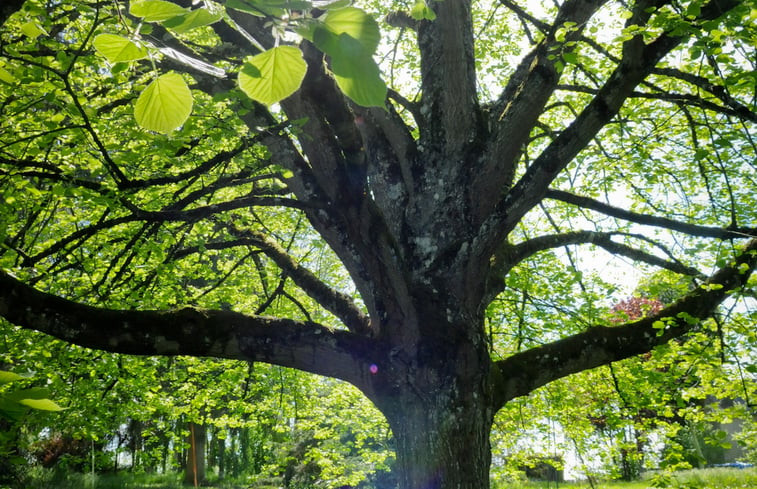 Natuurhuisje in Vitry-Laché