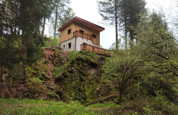 Natuurhuisje in GERARDMER