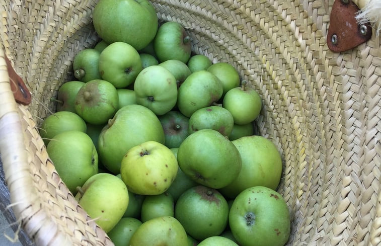 Natuurhuisje in Canlers