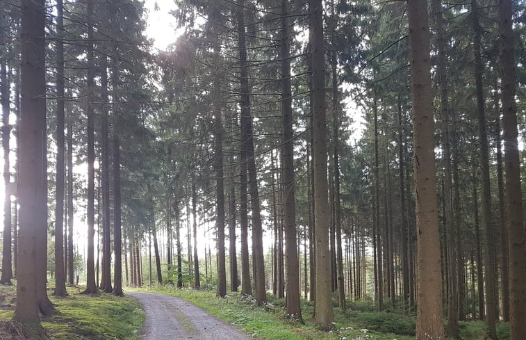 Natuurhuisje in Schmallenberg-Dorlar